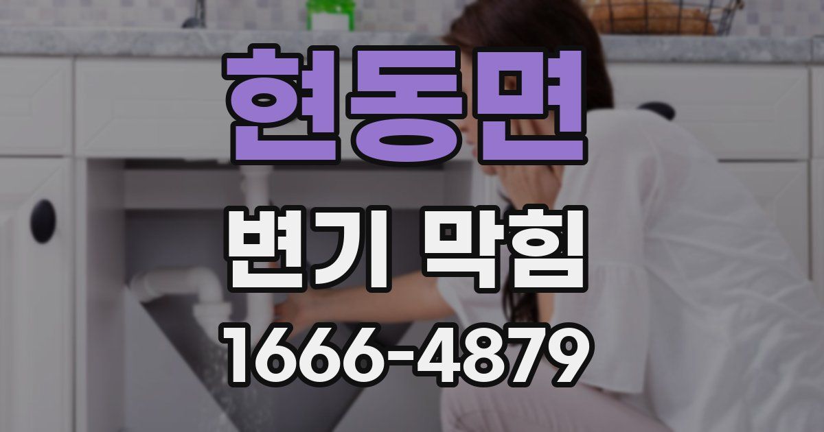 현동면 변기 막힘