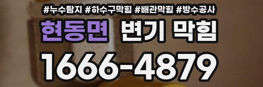 현동면 변기 막힘