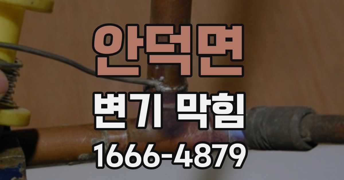 안덕면 변기 막힘