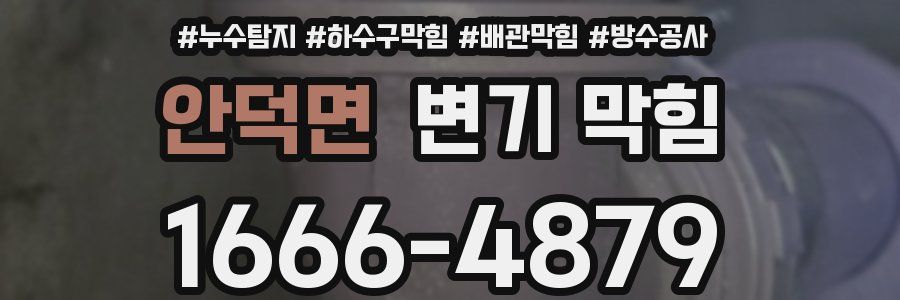 안덕면 변기 막힘