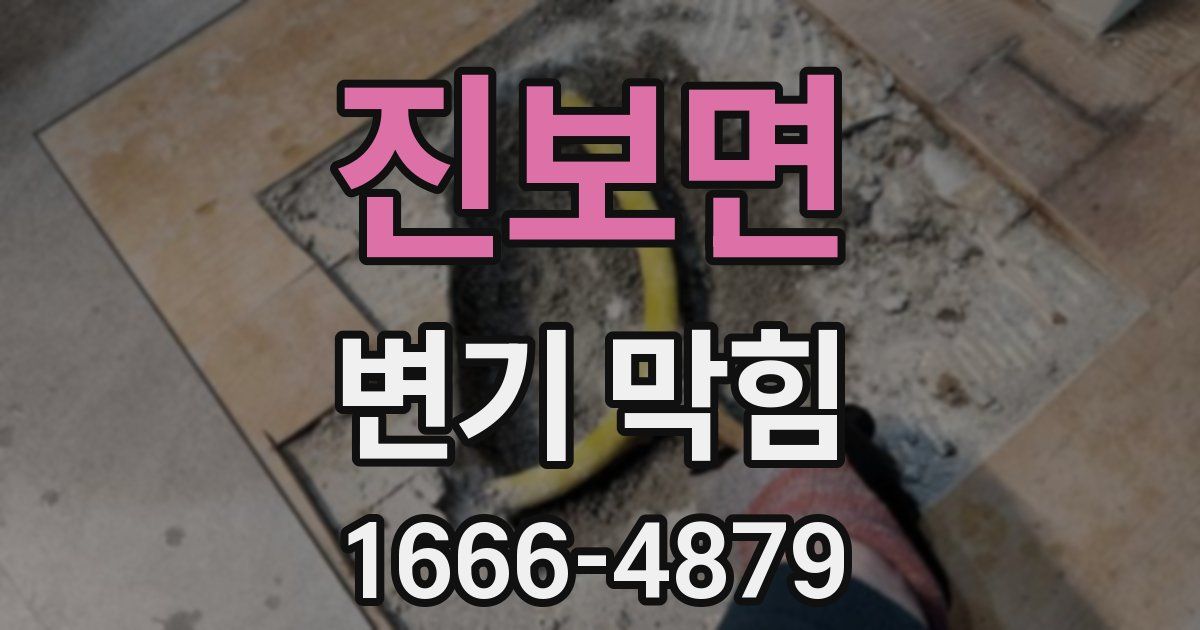 진보면 변기 막힘