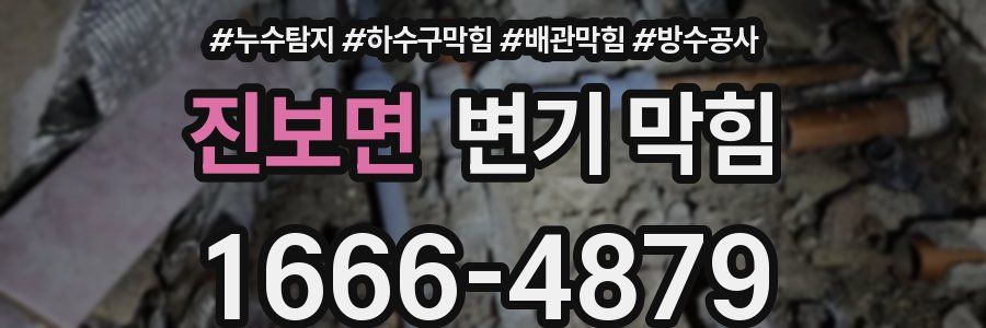 진보면 변기 막힘