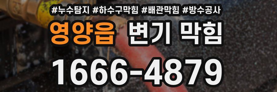 영양읍 변기 막힘