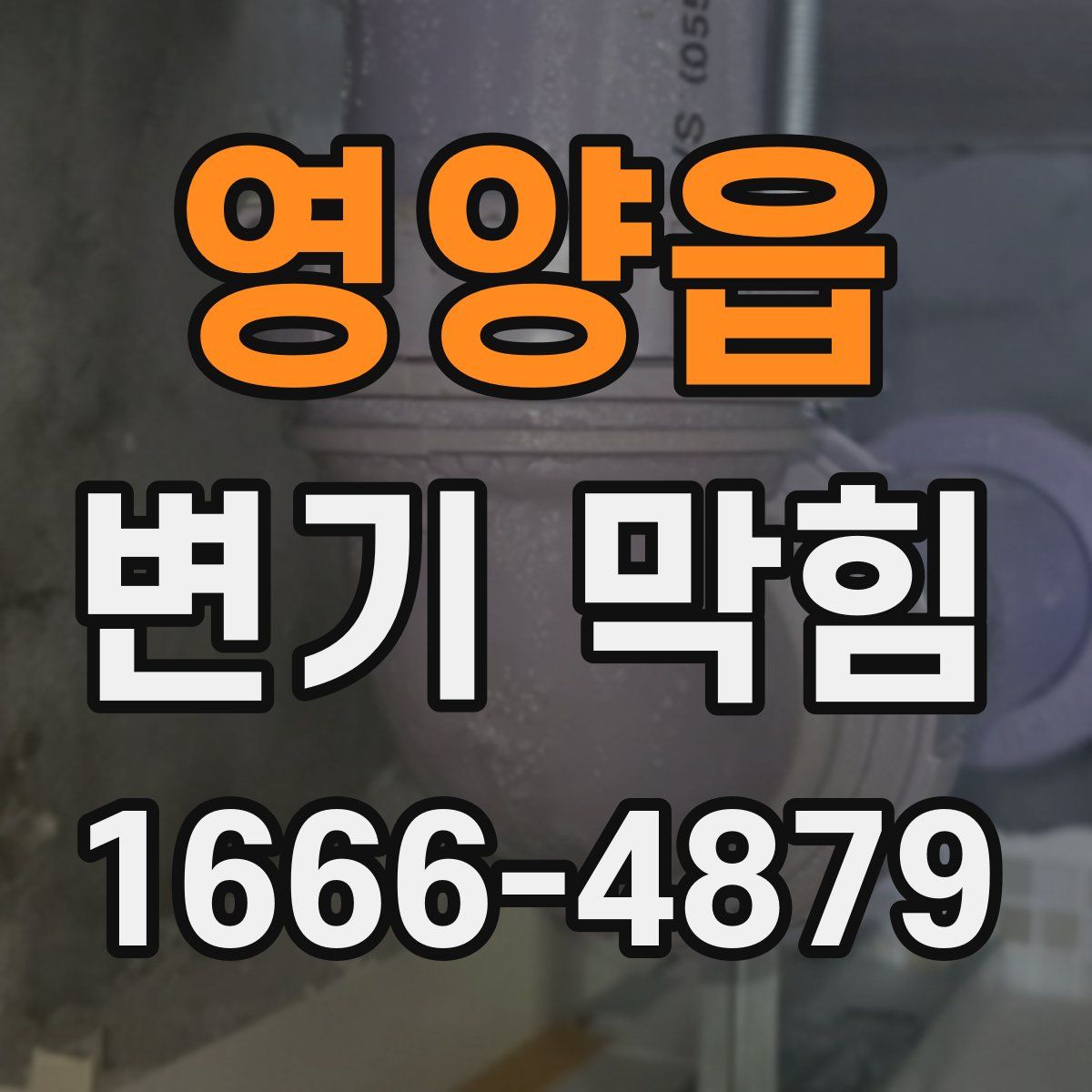 영양읍 변기 막힘