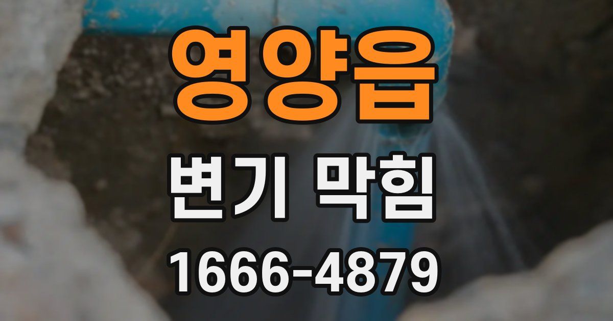 영양읍 변기 막힘