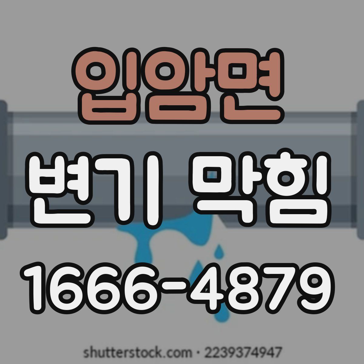 입암면 변기 막힘
