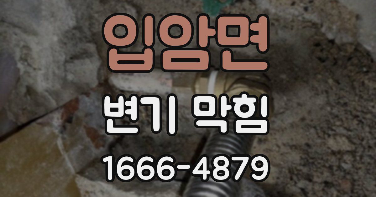 입암면 변기 막힘