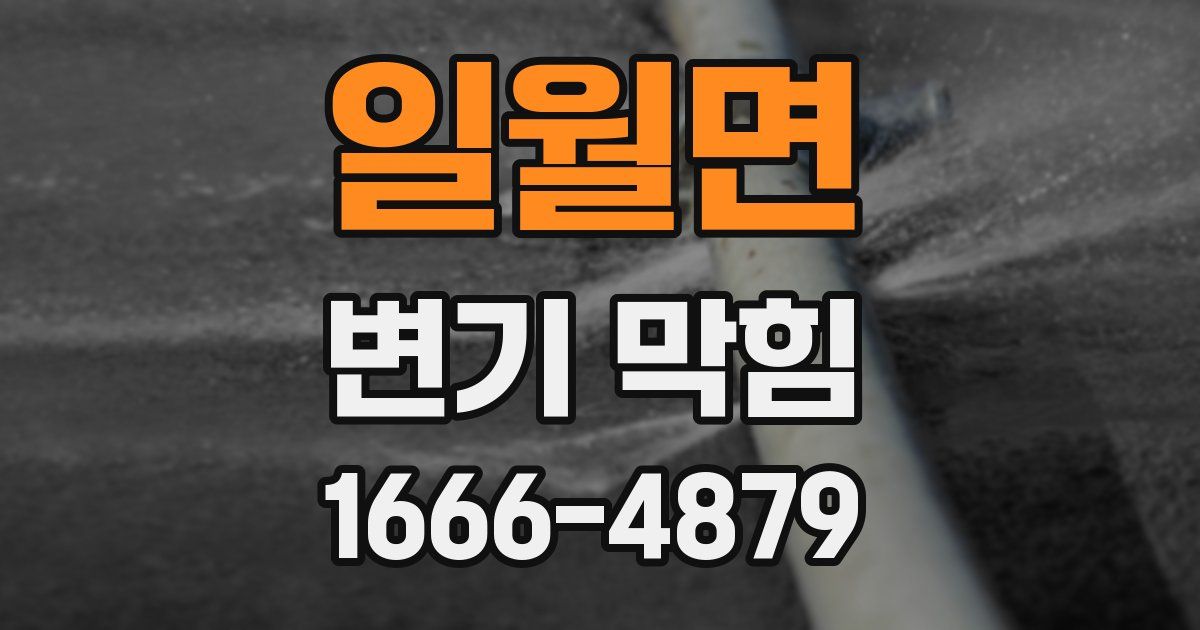 일월면 변기 막힘