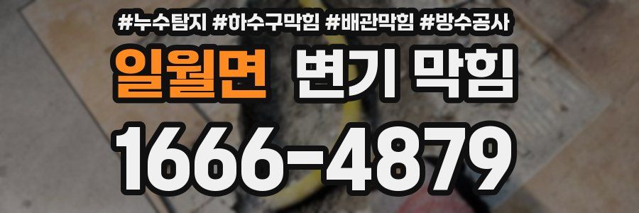 일월면 변기 막힘