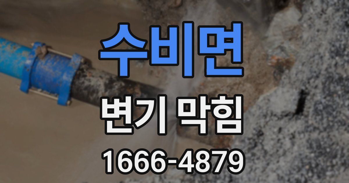 수비면 변기 막힘