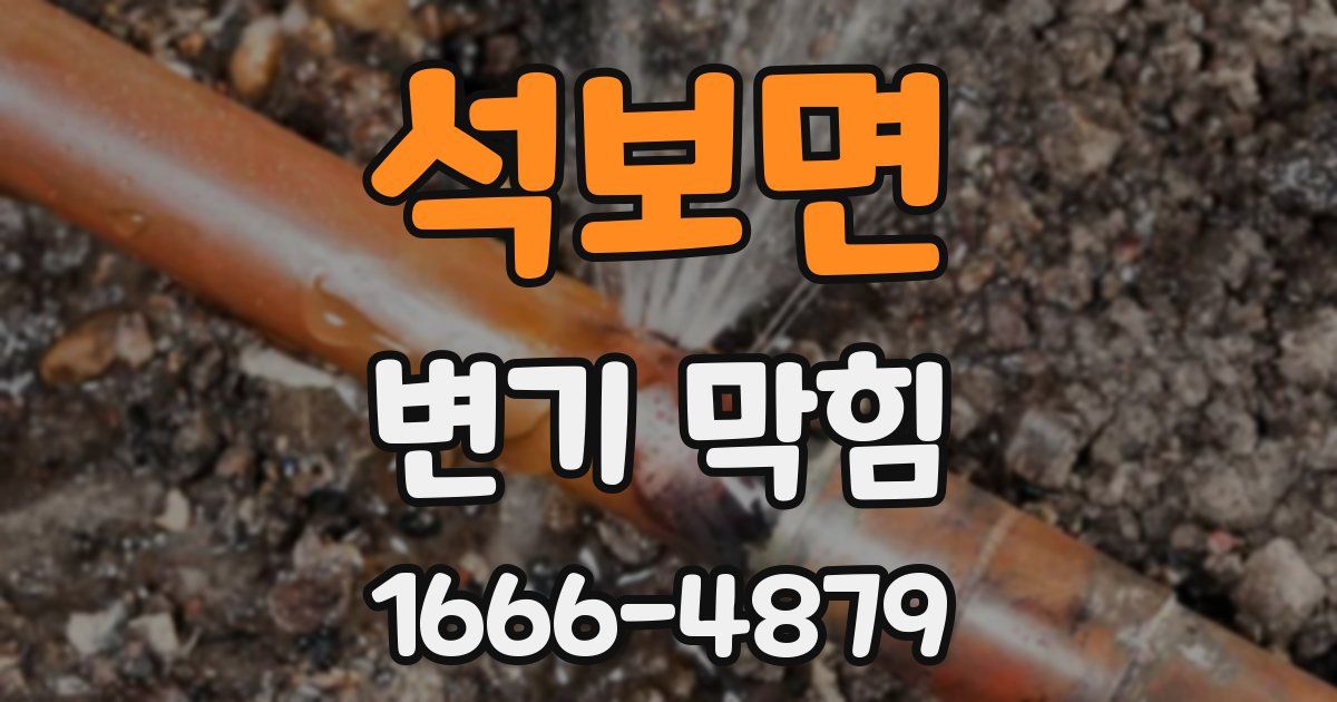 석보면 변기 막힘