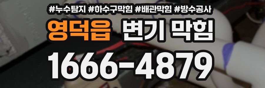 영덕읍 변기 막힘