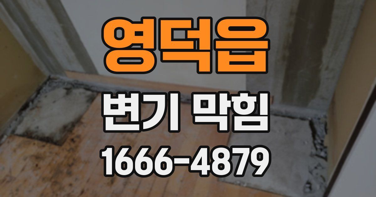 영덕읍 변기 막힘