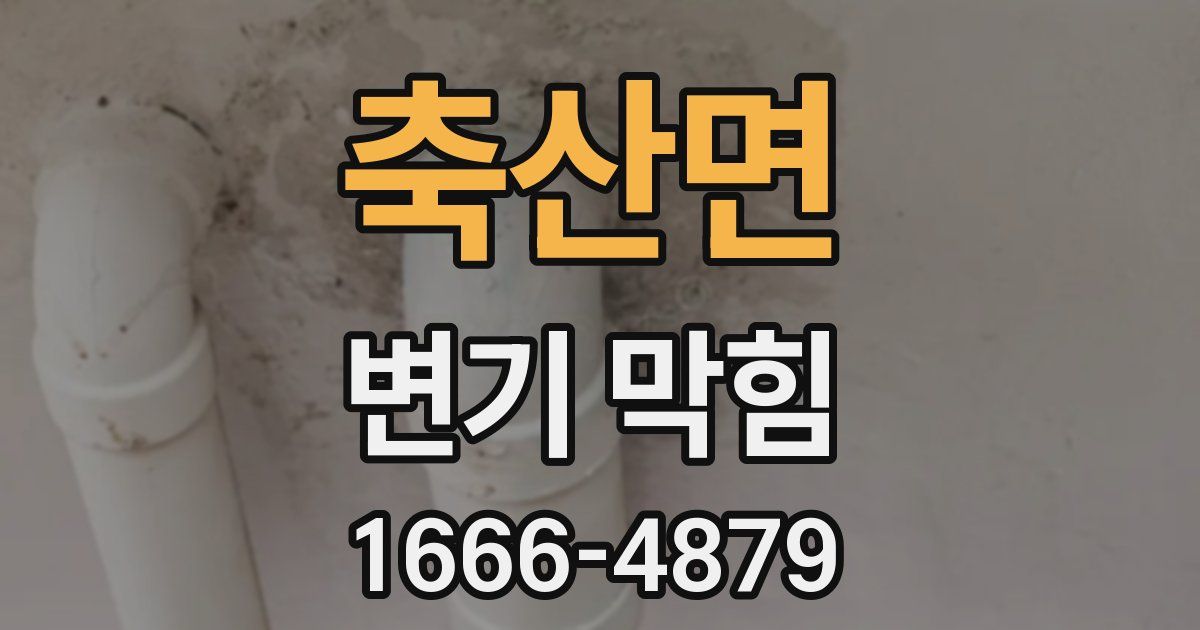 축산면 변기 막힘