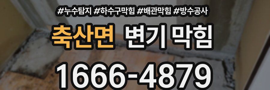 축산면 변기 막힘