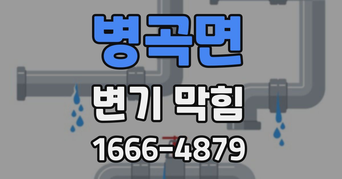 병곡면 변기 막힘