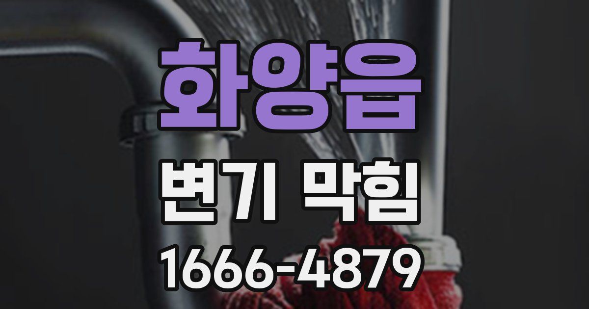 화양읍 변기 막힘