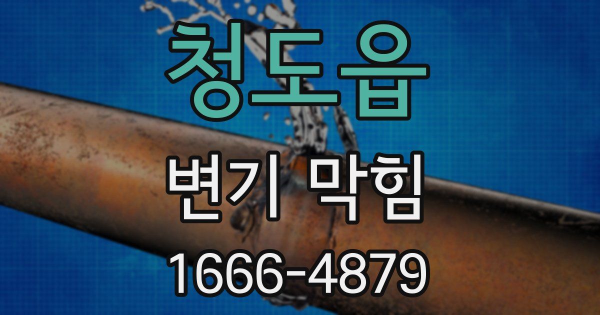 청도읍 변기 막힘