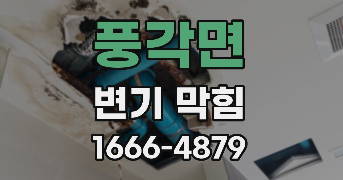 풍각면 변기 막힘