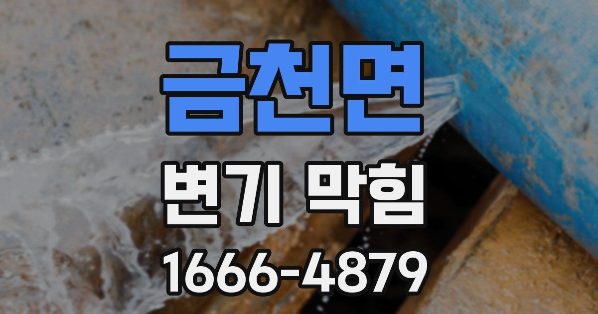 금천면 변기 막힘