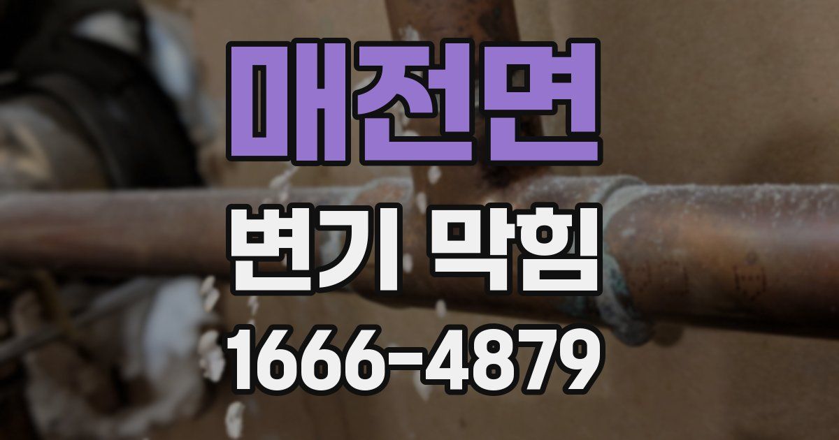 매전면 변기 막힘