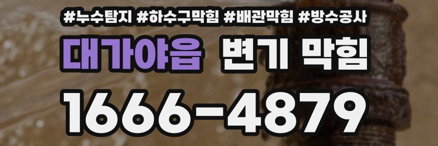 대가야읍 변기 막힘