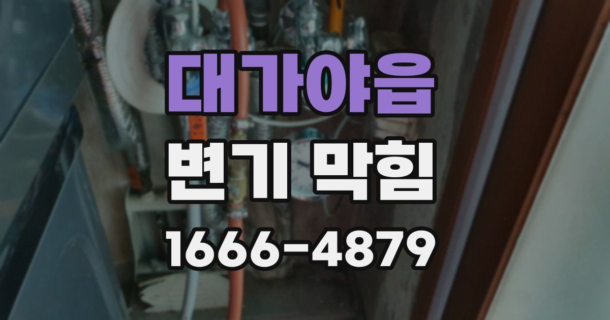 대가야읍 변기 막힘