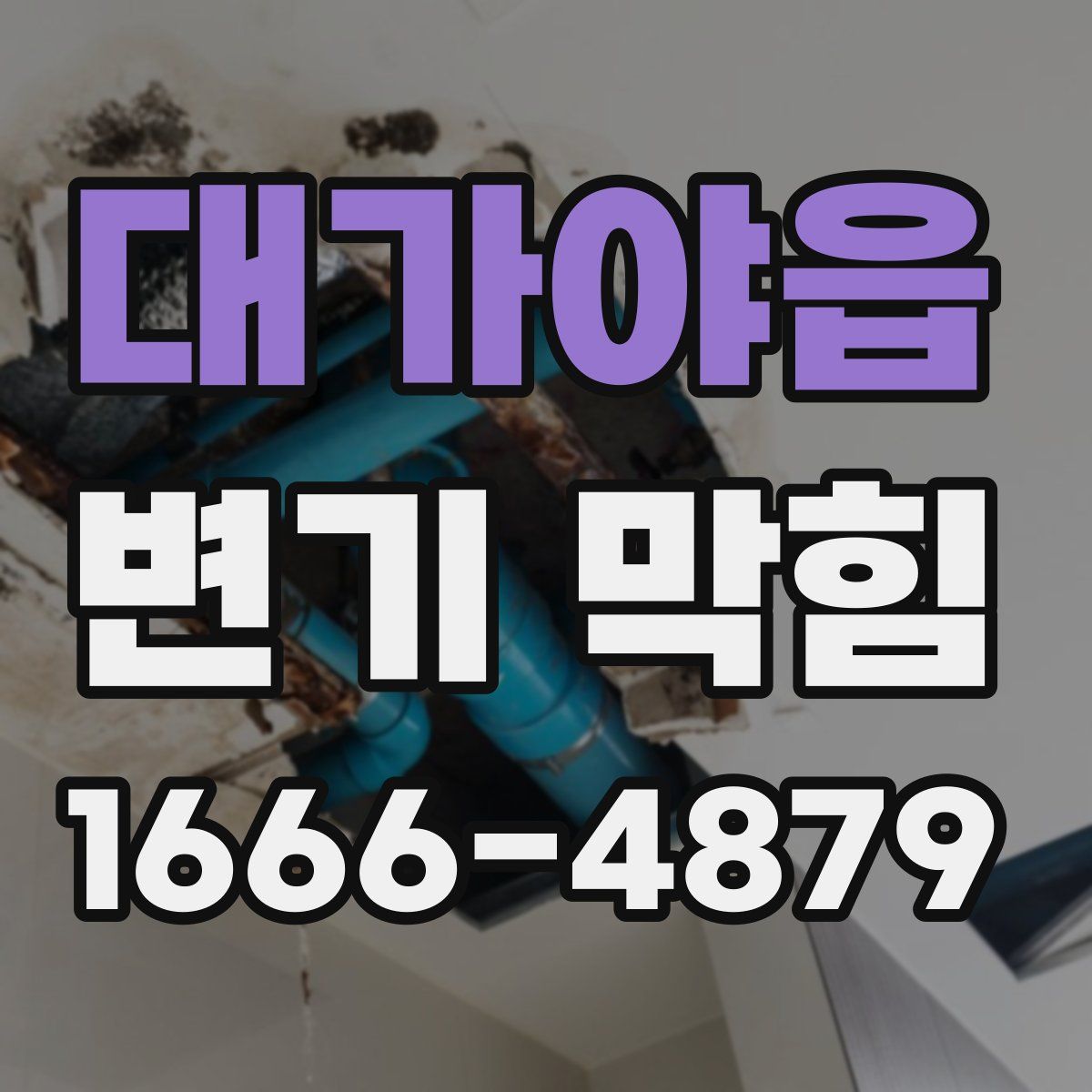 대가야읍 변기 막힘