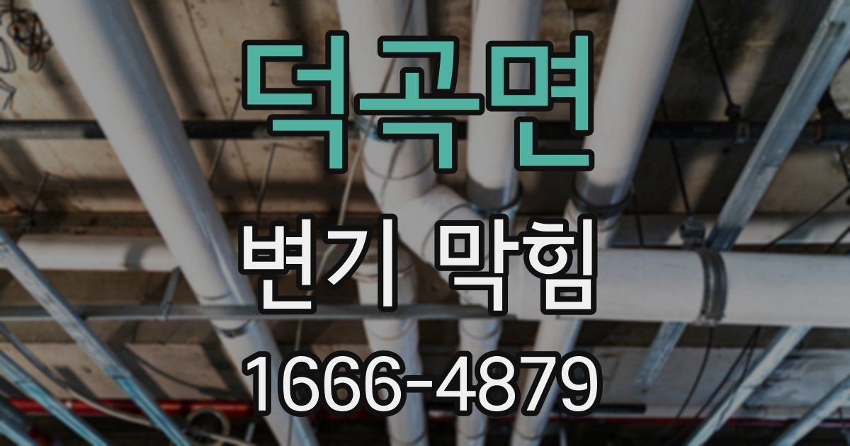 덕곡면 변기 막힘