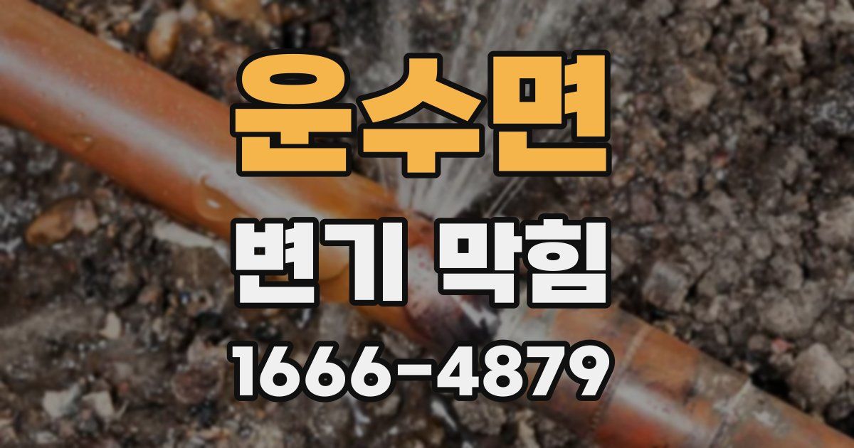 운수면 변기 막힘