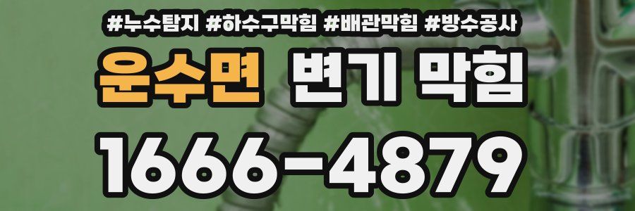 운수면 변기 막힘