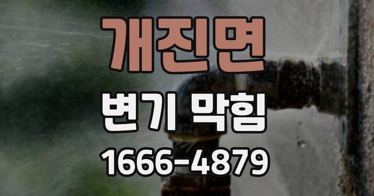 개진면 변기 막힘