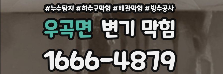 우곡면 변기 막힘
