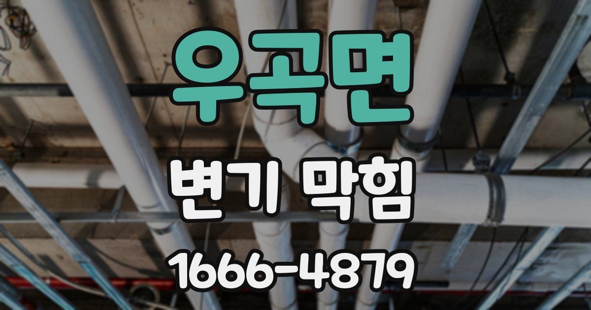 우곡면 변기 막힘