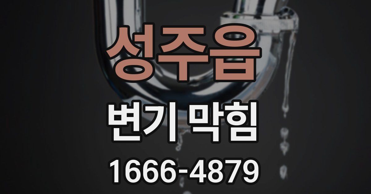 성주읍 변기 막힘