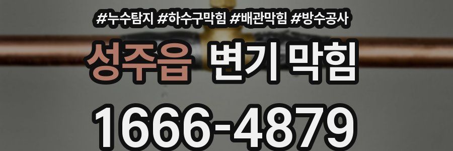 성주읍 변기 막힘