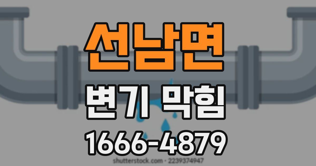선남면 변기 막힘