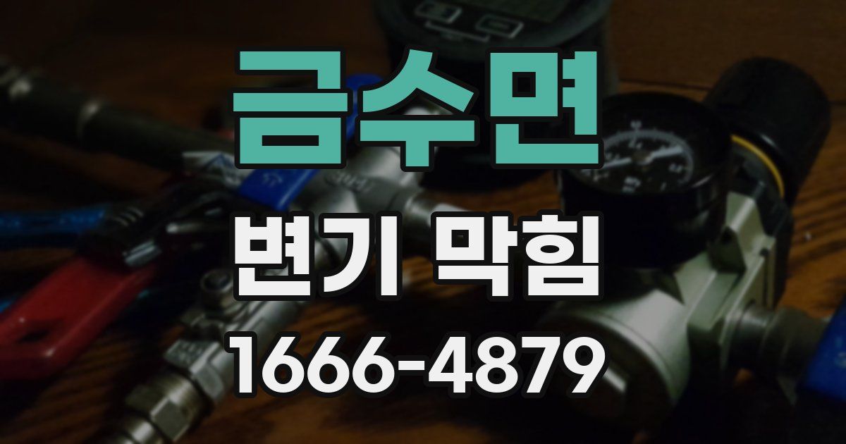 금수면 변기 막힘