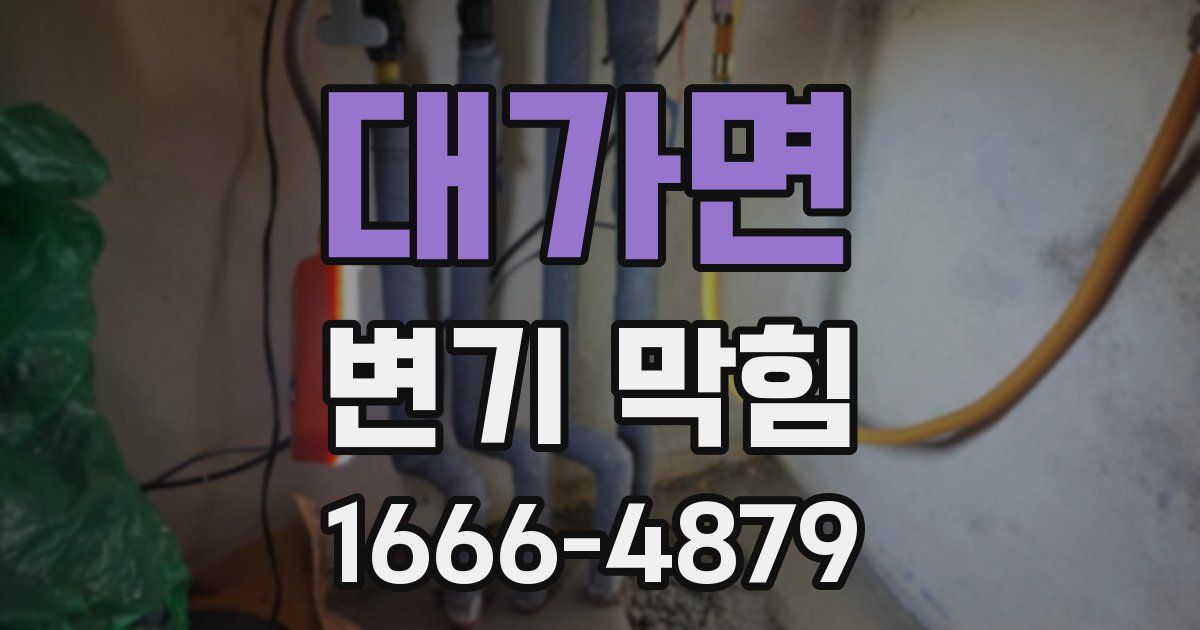 대가면 변기 막힘