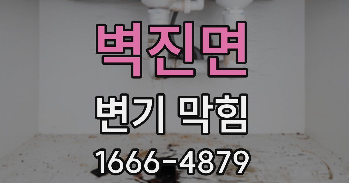 벽진면 변기 막힘