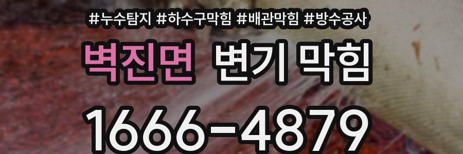 벽진면 변기 막힘