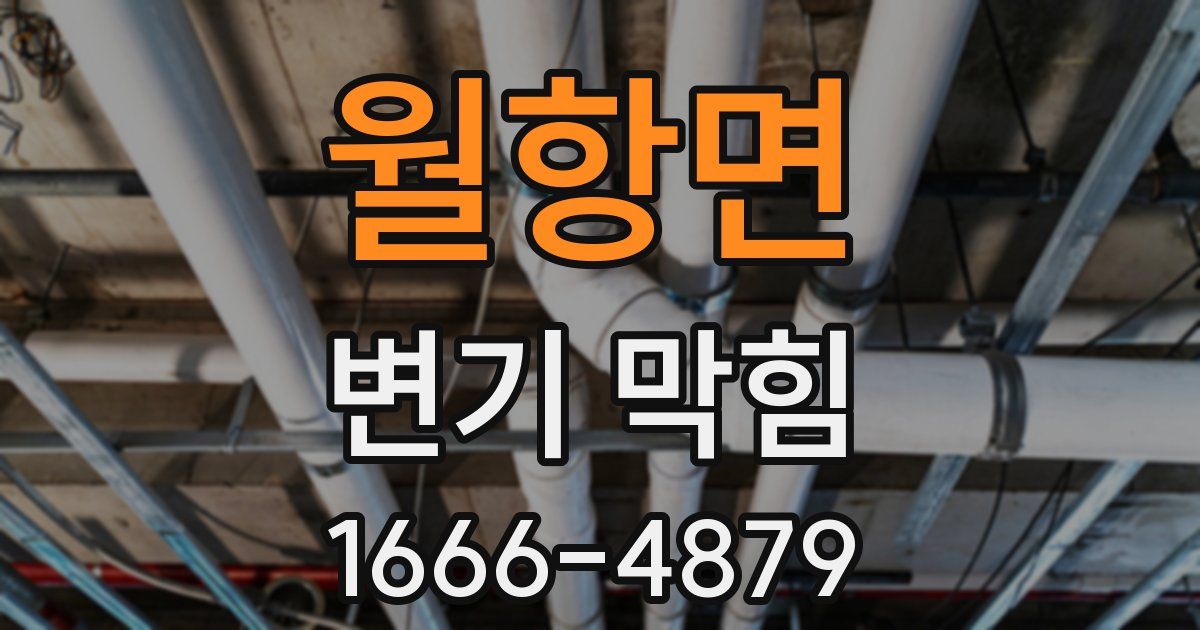 월항면 변기 막힘