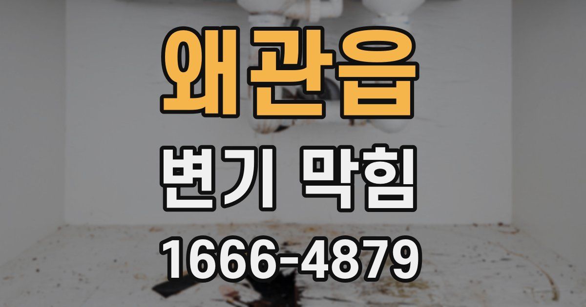 왜관읍 변기 막힘