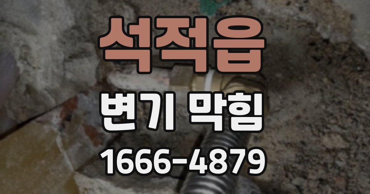 석적읍 변기 막힘