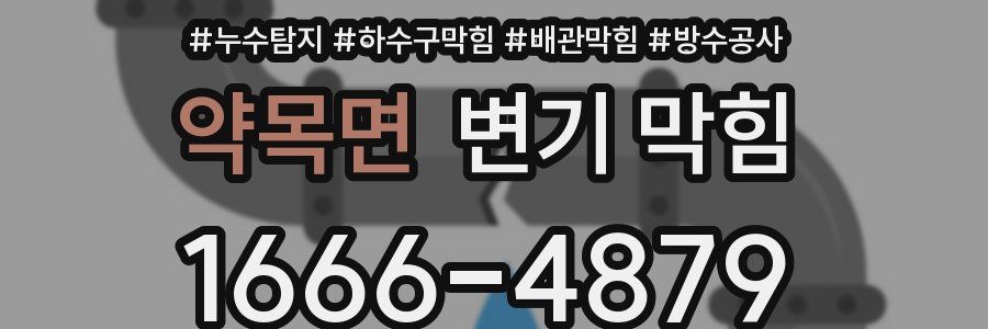 약목면 변기 막힘