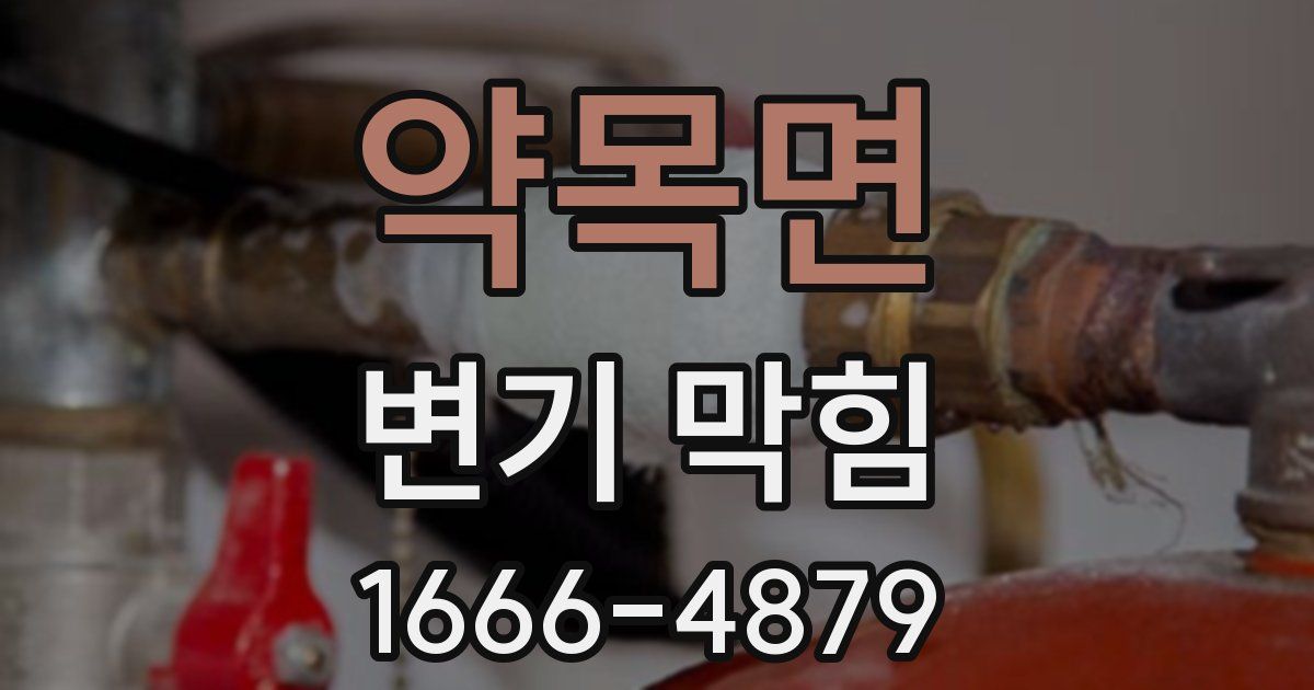 약목면 변기 막힘
