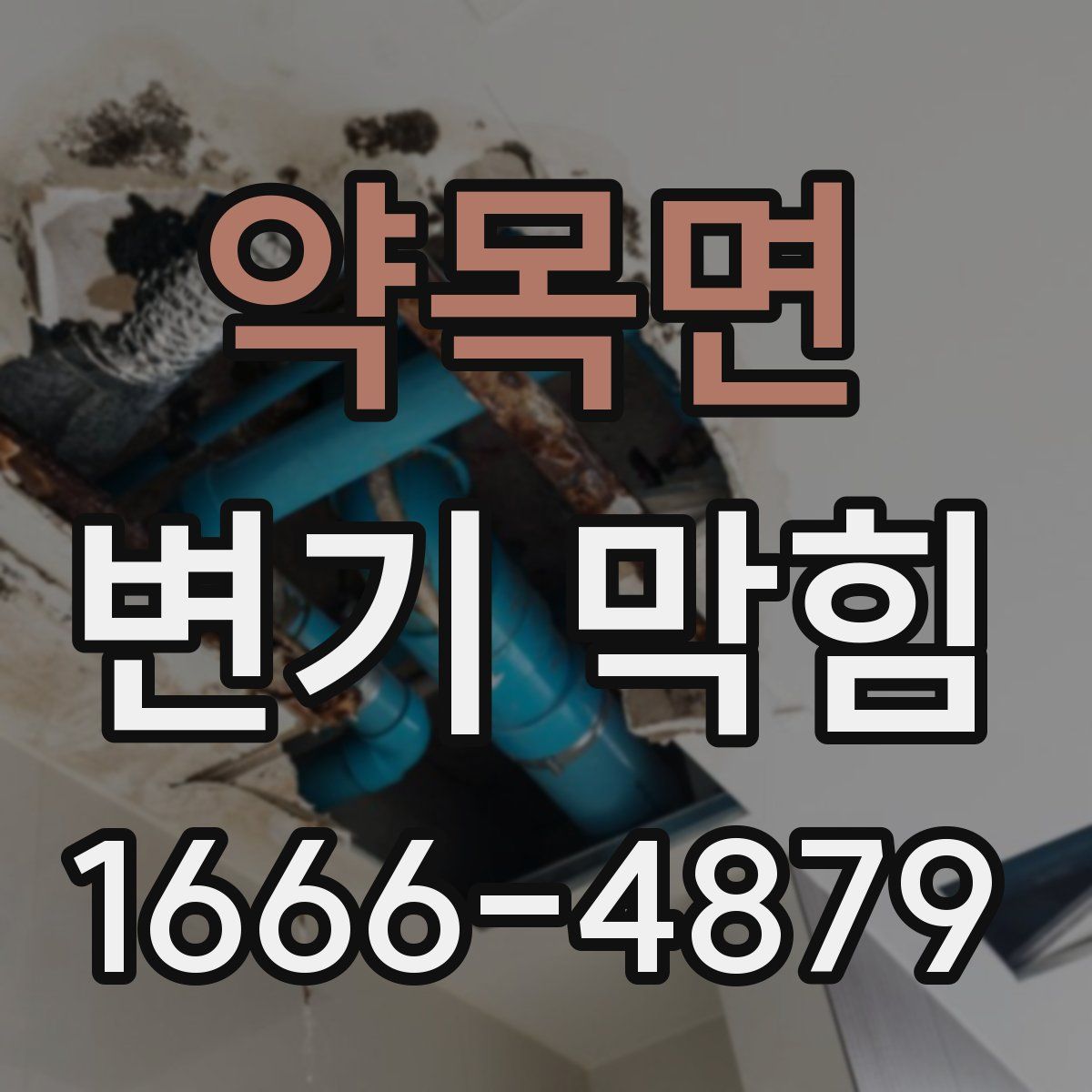 약목면 변기 막힘