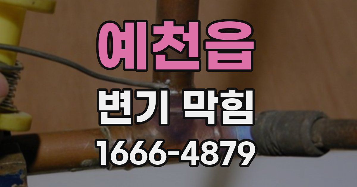 예천읍 변기 막힘