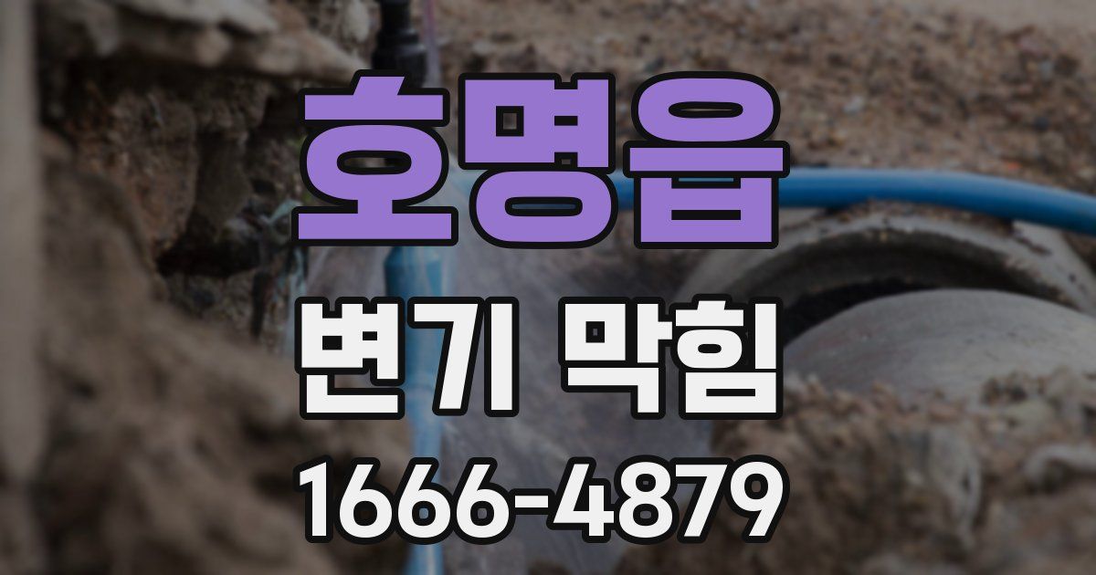호명읍 변기 막힘