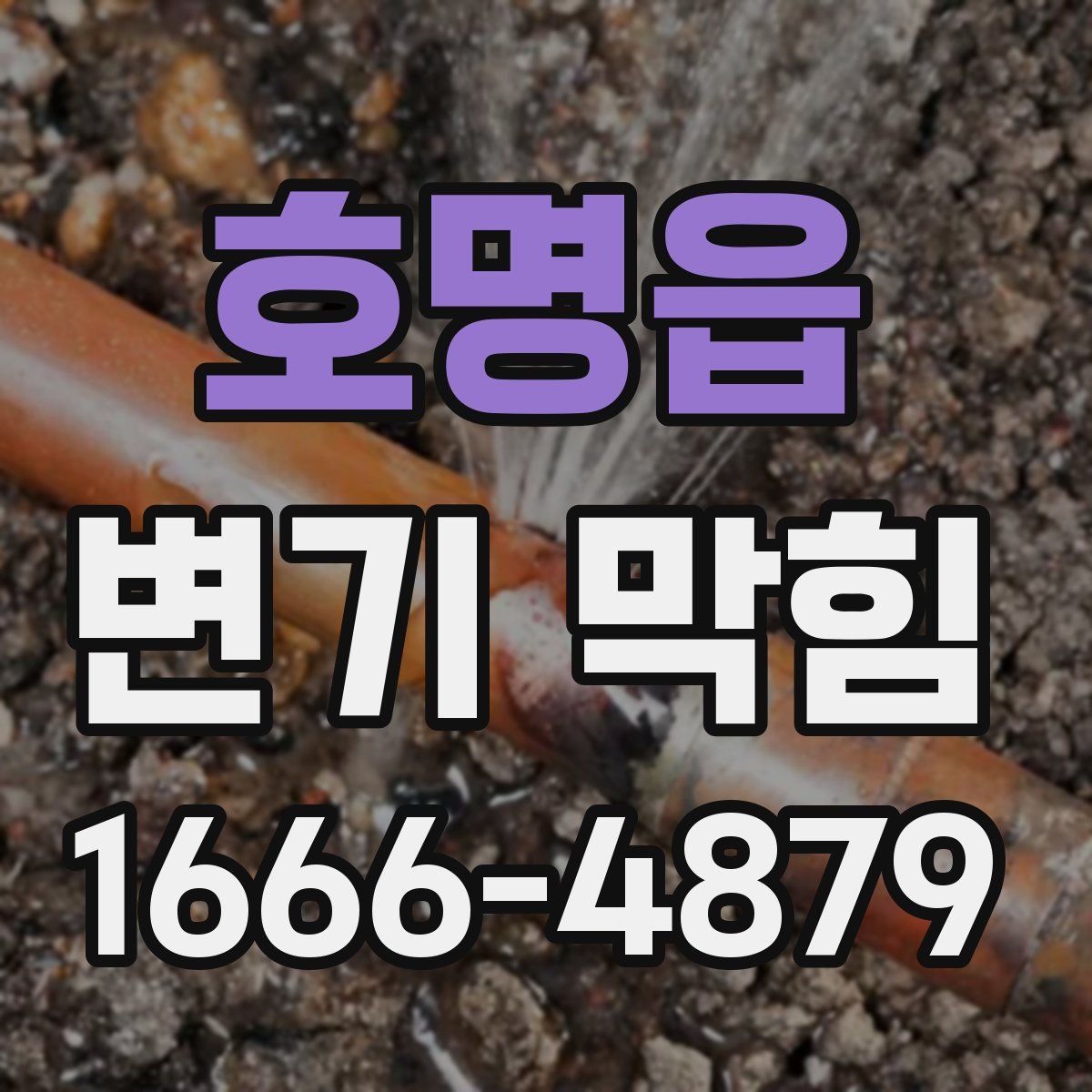 호명읍 변기 막힘